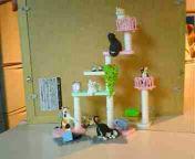  �����m�X