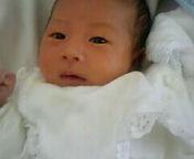  �����m�X