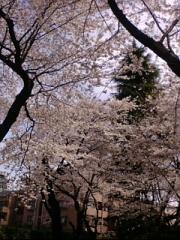  �����m�X