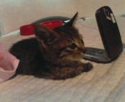  �����m�X