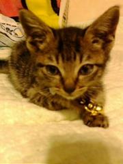  �����m�X