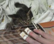  �����m�X