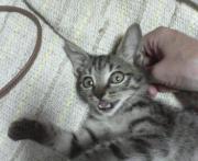  �����m�X