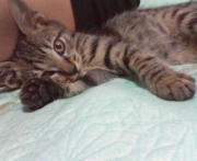  �����m�X