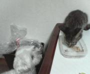  �����m�X