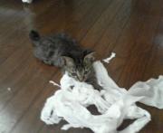  �����m�X