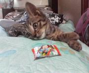  �����m�X