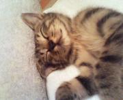  �����m�X