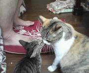  �����m�X