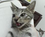  �����m�X