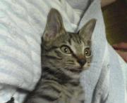  �����m�X