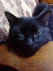  �����m�X