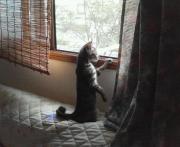  �����m�X