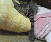  �����m�X