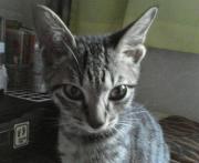  �����m�X