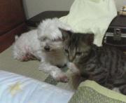  �����m�X