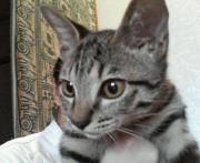  �����m�X