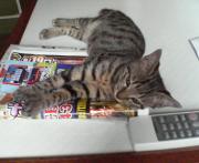  �����m�X