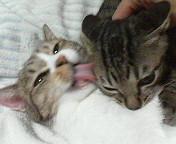  �����m�X