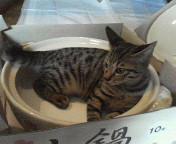  �����m�X