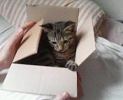  �����m�X