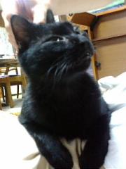  �����m�X