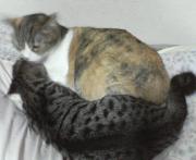  �����m�X