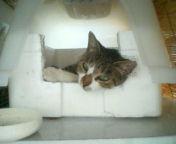  �����m�X