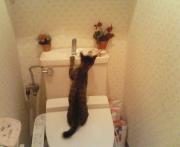  �����m�X