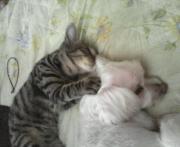  �����m�X