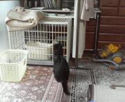  �����m�X