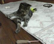  �����m�X