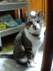  �����m�X