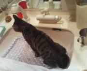  �����m�X