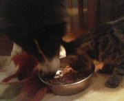  �����m�X