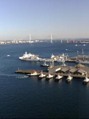  �����m�X