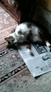  �����m�X