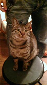  �����m�X