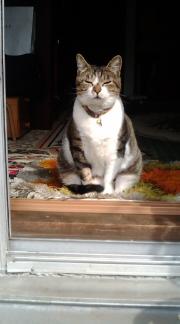  �����m�X