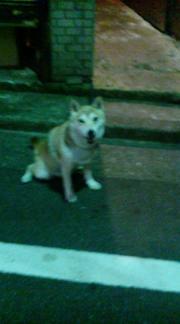  �����m�X