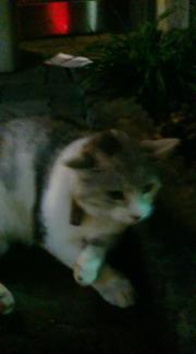  �����m�X