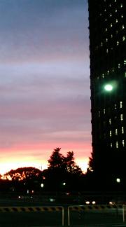  �����m�X