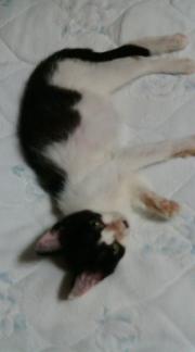  �����m�X