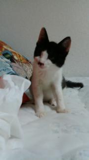  �����m�X