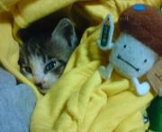  �����m�X