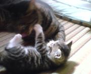  �����m�X