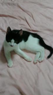  �����m�X