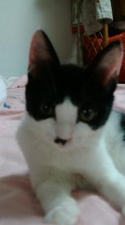  �����m�X