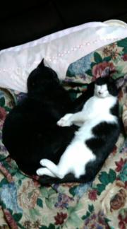  �����m�X