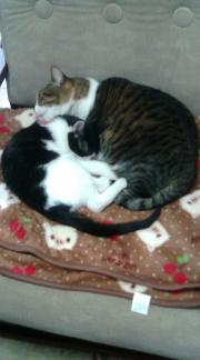  �����m�X